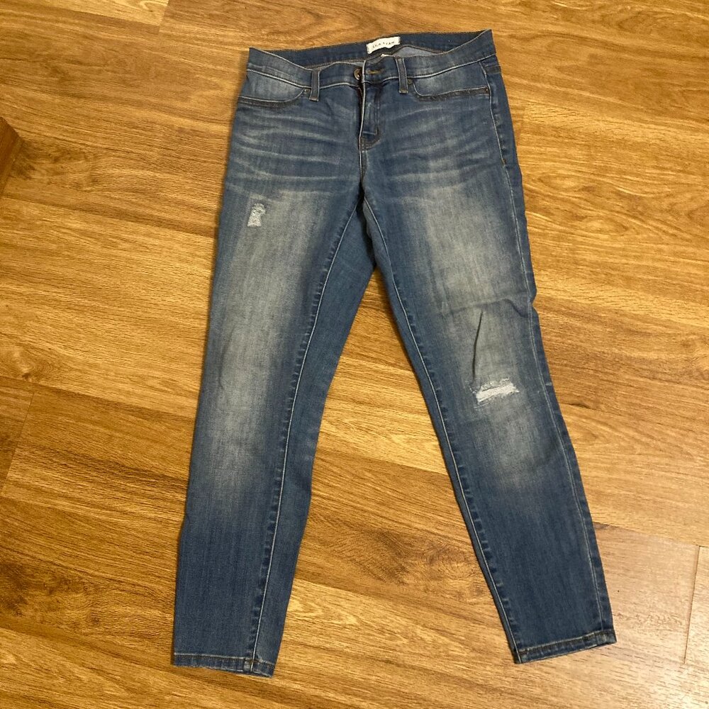 STITCH FIX Lila Ryan Liza Skinny Jean